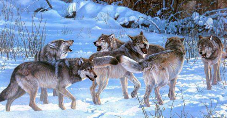 華為管理文化的兩個關鍵詞：簡單、狼狽為奸