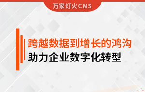 跨越數據到增長的鴻溝，助力企業數字化轉型